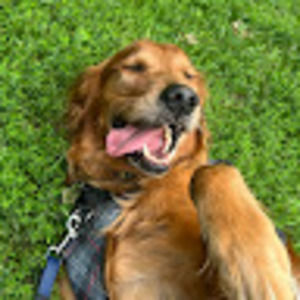 Meet your Posher, Maria eduarda